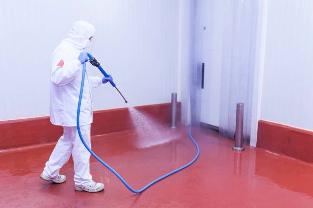 Boat and Dock Cleaning in Orange, OH